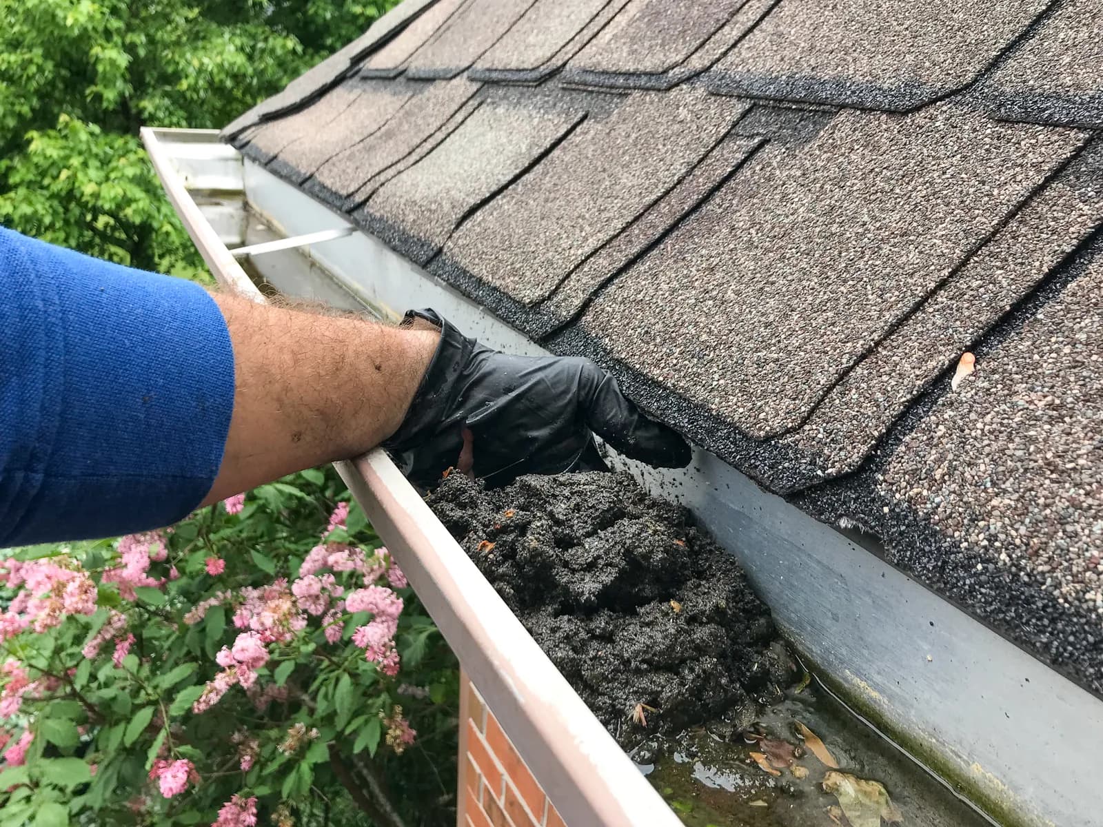 Shingle gravel and grit accumulated in a gutter with no nearby trees